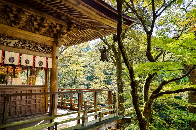 The Art of Uncovering Hidden Gems: A Journey with a Tourist Guide